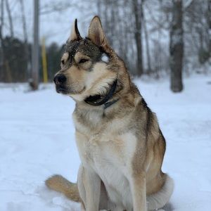 Meet your Posher, Katrina